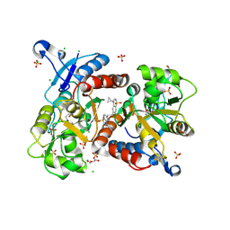 BU of 6hc9 by Molmil