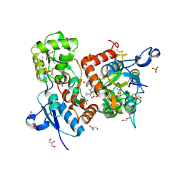 BU of 6hcc by Molmil