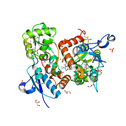 AU of 6hcc by Molmil