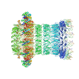 BU of 6hcg by Molmil