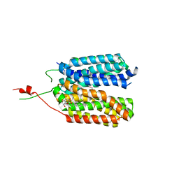 BU of 6hcl by Molmil