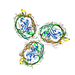 BU of 6hcp by Molmil