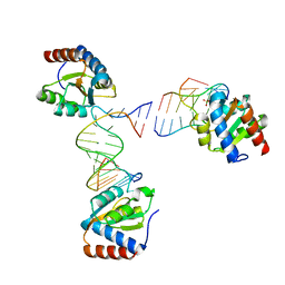 BU of 6hct by Molmil