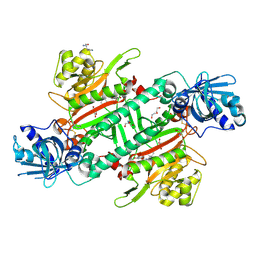 BU of 6hcu by Molmil