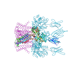 BU of 6hda by Molmil