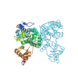 BU of 6hdw by Molmil