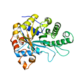 BU of 6hf2 by Molmil