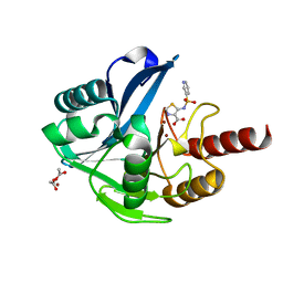 BU of 6hf5 by Molmil