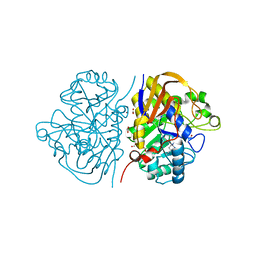 BU of 6hfi by Molmil