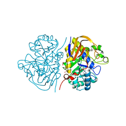 BU of 6hfl by Molmil