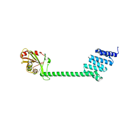 BU of 6hft by Molmil