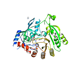 BU of 6hfv by Molmil