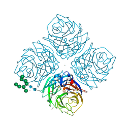 BU of 6hg0 by Molmil