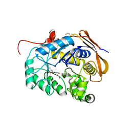 BU of 6hg1 by Molmil