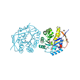 BU of 6hg3 by Molmil