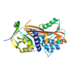 BU of 6hgi by Molmil