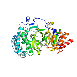 BU of 6hh6 by Molmil