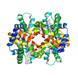 BU of 6hit by Molmil