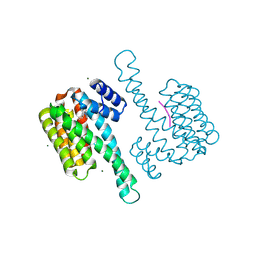 BU of 6hkb by Molmil