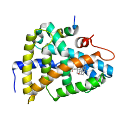 BU of 6hl1 by Molmil