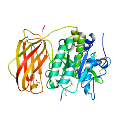 BU of 6hlb by Molmil