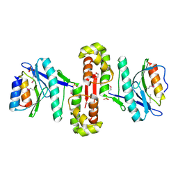 BU of 6hpb by Molmil