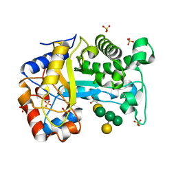 AU of 6hpf by Molmil