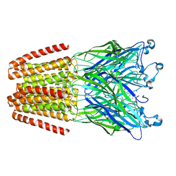 BU of 6hpp by Molmil