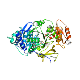 BU of 6hps by Molmil