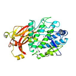 BU of 6hqi by Molmil