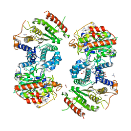 BU of 6hrq by Molmil