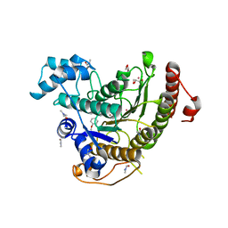 BU of 6hsf by Molmil