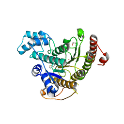 BU of 6hti by Molmil