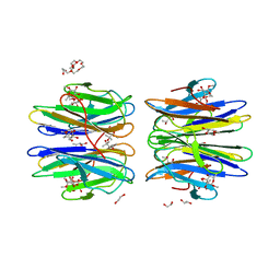 BU of 6htn by Molmil