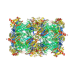 BU of 6htp by Molmil