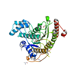 BU of 6hu1 by Molmil