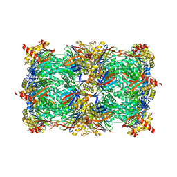 BU of 6hv5 by Molmil