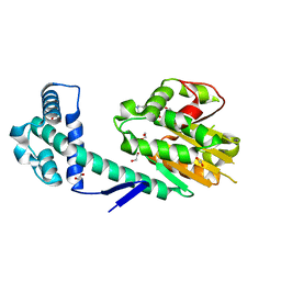 BU of 6hv6 by Molmil