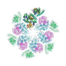 BU of 6hwi by Molmil