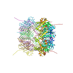 BU of 6hwm by Molmil