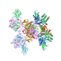 BU of 6hxi by Molmil