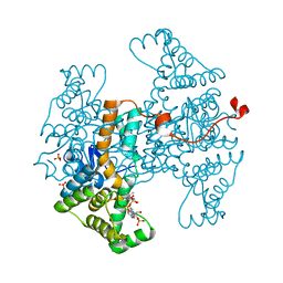 BU of 6hxp by Molmil