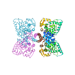 BU of 6hyc by Molmil