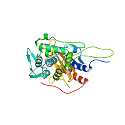 BU of 6i1f by Molmil