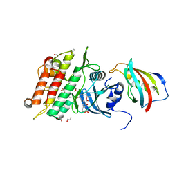 BU of 6i1s by Molmil