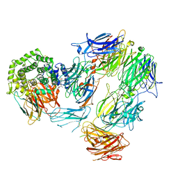 AU of 6i2x by Molmil
