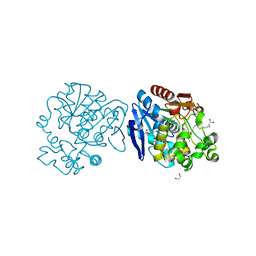 BU of 6i5g by Molmil