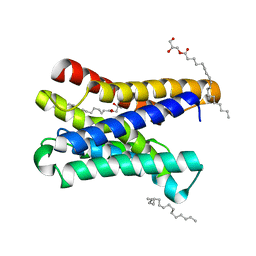 BU of 6i6b by Molmil