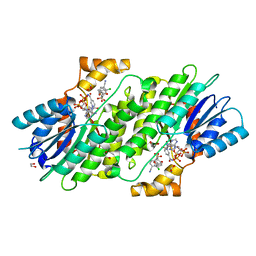 BU of 6i6c by Molmil