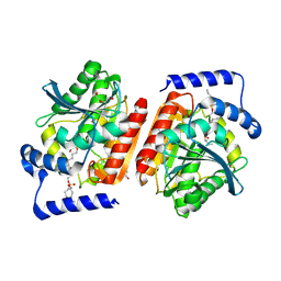 BU of 6i8d by Molmil